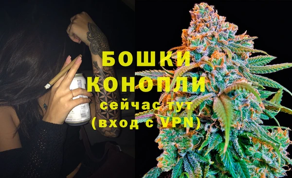прущие крисы Михайловск