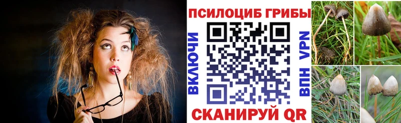 наркошоп  гидра зеркало  Галлюциногенные грибы Magic Shrooms  Ленинск 